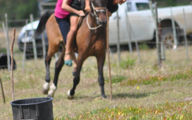Gansbaai Perde Boersport BBos 2